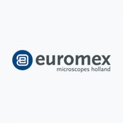 DPC-lebanon-euromex