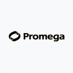 DPC-lebanon-promega